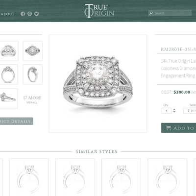 True Origin site design