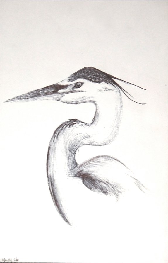 heron drawing